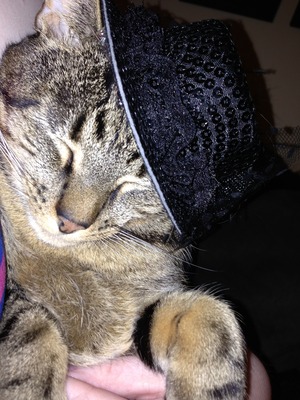 Jiffy B.