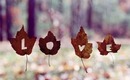 Tag | I ♥ Fall