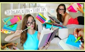 Back to School ♡ Study Tips + DIY Organization / School Supplies