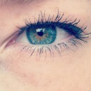My Eye Yesterday