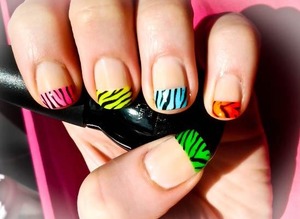 Rainbow zebra print nails