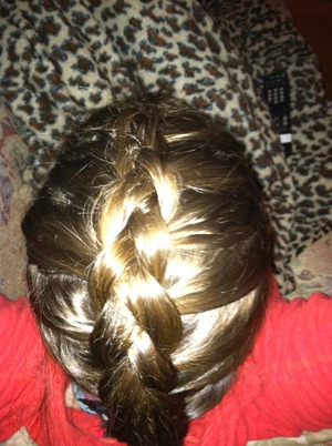 A Dutch braid (inverted French braid) down the middle of my head