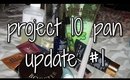 Project 10 Pan Update #1