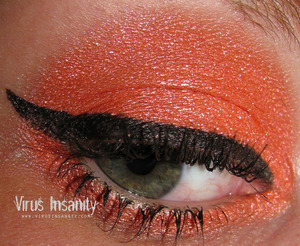 Virus Insanity eyeshadow, Techno.
www.virusinsanity.com