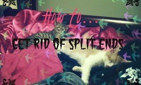 ♡How To...Get Rid of Split Ends!!!♡