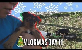 🎄 VLOGMAS DAY 11: GOODBYE TO ALL THE PUPPIES 😢 | MakeupANNimal