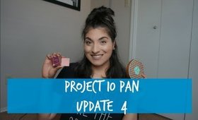 Project 10 Pan| Update #4