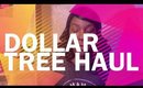 Dollar tree haul, Dollar General Haul