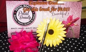 Petal Beauty Exclusive - Get A Professional Quality Makeup Brush For $0.01!!!
