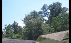 Here is My  Video I filmed and Photos i did of a beautiful Butterfly in my yard