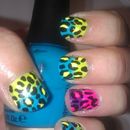 Neon Sponge Leopard