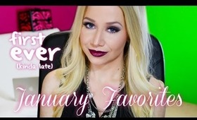 January Favorites (Super Late!) + My Feelings On Border Guards