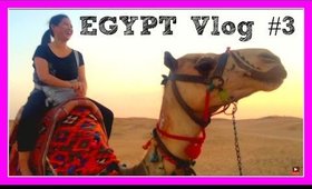 Mysterious Egypt Vlog # 3 - Market, Camel and Outdoor Dance Party