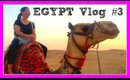 Mysterious Egypt Vlog # 3 - Market, Camel and Outdoor Dance Party