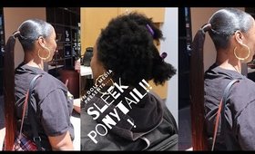 Detailed Sleek Ponytail on SHORT THICK HAIR!