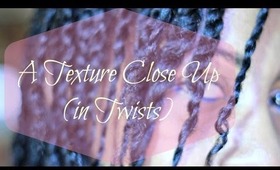 Close Up Of My * Natural Hair * Texture in Twists