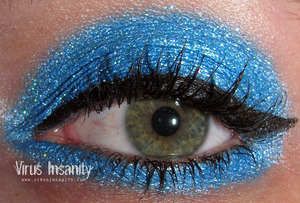Virus Insanity eyeshadow, OMG!.
www.virusinsanity.com
