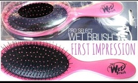 ♥ The Wet Brush- First Impression & Demo on Wet & Dry Hair! ♥