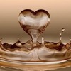 Ramsha M.