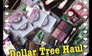 Dollar Tree Haul