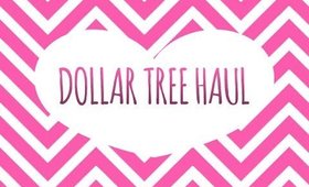 Dollar Tree Haul - 1/31/2015