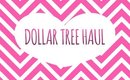 Dollar Tree Haul - 1/31/2015