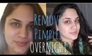 How To REMOVE ACNE Overnight | 4 Quick Remedies that really work!