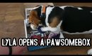 Lyla Opens A PawsomeBox