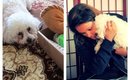 UNBOXING REVIEW | NOVEMBER 2014 BARKBOX WITH CC