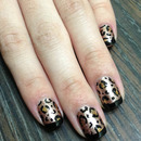 Leopard Print with Black Tips