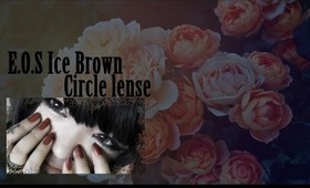 ❤ EOS Ice Brown Circle Lens from Maplelens.com ❤