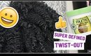Super defined twist out using Garnier Fructis 1 minute mask│Tamekans