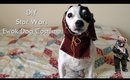 DIY Ewok Dog Costume
