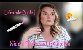 New Cycle, New Meds,  Live Ovulation - TTC After Loss