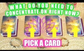 PICK A CARD & SEE WHAT YOU NEED TO CONCENTRATE ON RIGHT NOW? │ WEEKLY TAROT READING