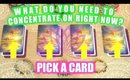 PICK A CARD & SEE WHAT YOU NEED TO CONCENTRATE ON RIGHT NOW? │ WEEKLY TAROT READING