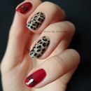 Leopard and Bows