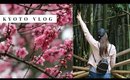 Kyoto Japan Travel Vlog 2017 🌸 Fushimi Inari Taisha, Bamboo Forest, EATING ALL THE THINGS