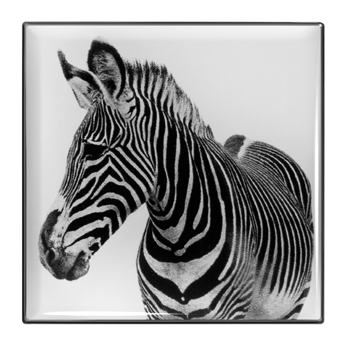 Chantecaille Luminescent Eye Shade Zebra | Beautylish