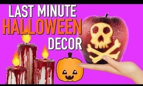 EASY LAST MINUTE DIY HALLOWEEN DECORATIONS!