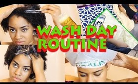 Lazy Natural: Hair wash routine