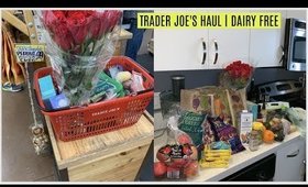 $80 TRADER JOE'S HAUL | NEW SH!T IN | DAIRY FREE