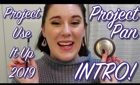 PROJECT USE IT UP 2019 Q1 | Project Pan INTRO