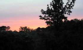 Beautiful Sunset