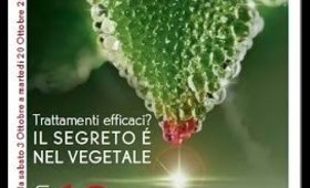 Sfogliamo Insieme l' ALBUM 13 YR ( 20/10/2015 )