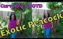 ►Curvy Diva OOTD | Exotic Peacock