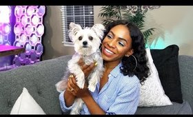 Dog Mommy Life 🐶 Story + Q&A: Adopting, Expenses, Potty Training & More!  ▸ VICKYLOGAN