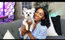 Dog Mommy Life 🐶 Story + Q&A: Adopting, Expenses, Potty Training & More!  ▸ VICKYLOGAN