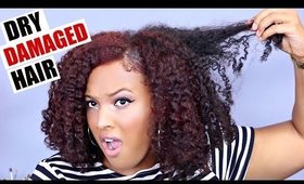 THIS Is Why Your Hair is DAMAGED, DRY and BREAKING OFF! (Natural, Relaxed, Transitioning hair)