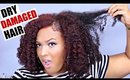THIS Is Why Your Hair is DAMAGED, DRY and BREAKING OFF! (Natural, Relaxed, Transitioning hair)